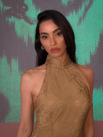 Full leaked Adrianne ho page private photo