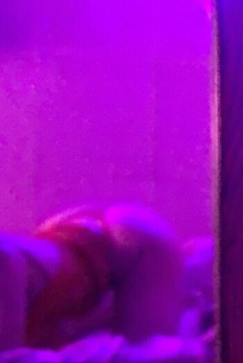 Full leaked Aixa palacio private photo