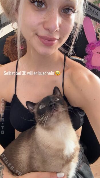 Full leaked Almostfeline private photo