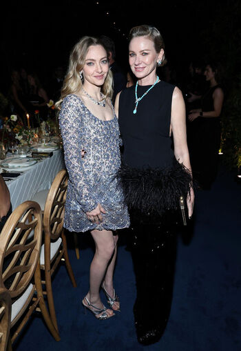 Full leaked Amanda seyfried private photo