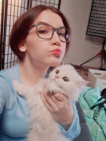 KittyKlaw