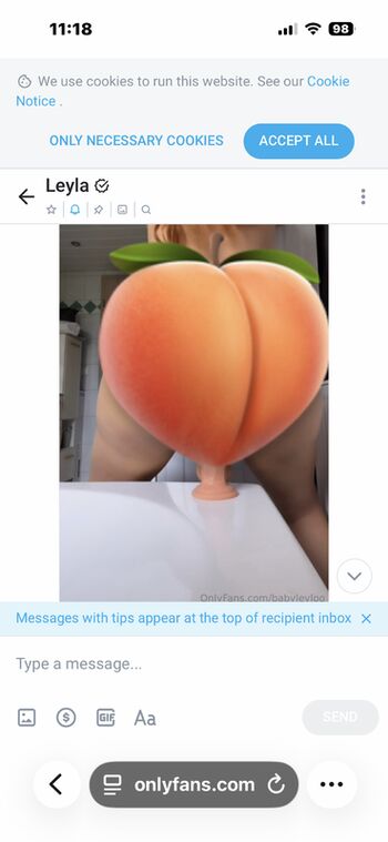 Full leaked Babyleyloo private photo
