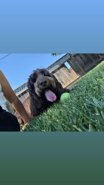 Full leaked Bayley page private photo