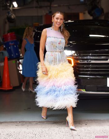 Full leaked Blake lively private photo