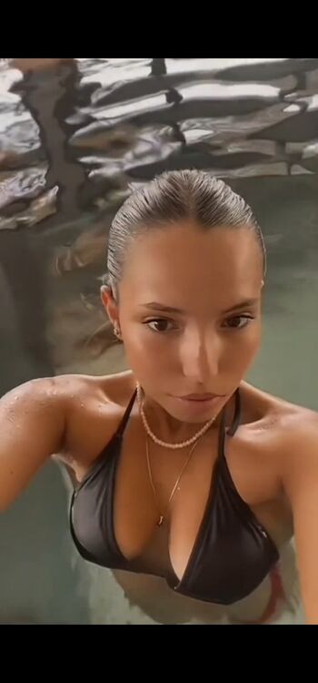 Boss.cyane