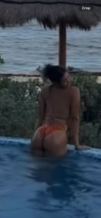 Bryceideeleos