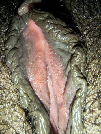Full leaked Buceta private photo