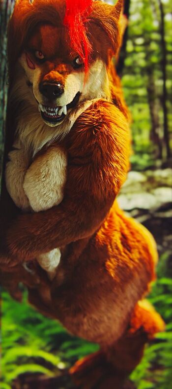 Full leaked Buffpup private photo