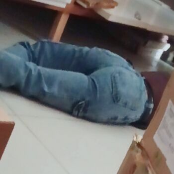 Candid Brasil
