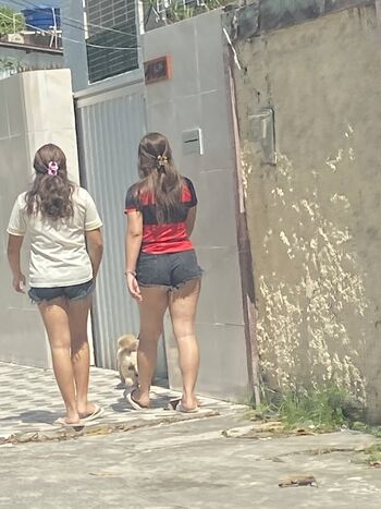 Candid Brasil