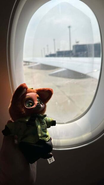 Full leaked Catiescos  page private photo