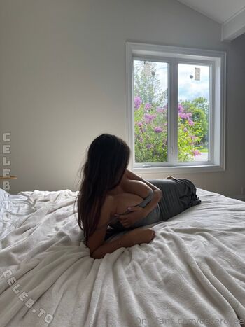 Cecilia Rose
