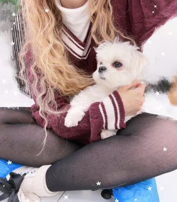 Full leaked Chi private photo