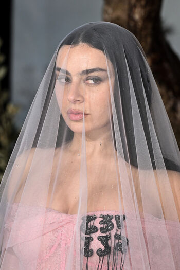 Full leaked Charli xcx page private photo