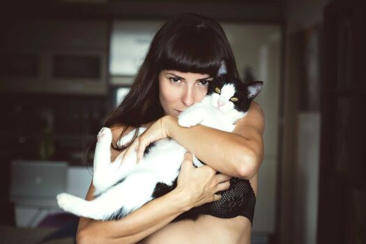 Crazycatlady