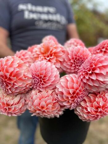 Full leaked Dahlia cream private photo