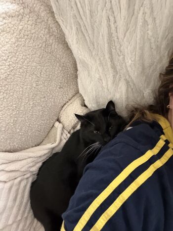 Full leaked Dahnikz private photo