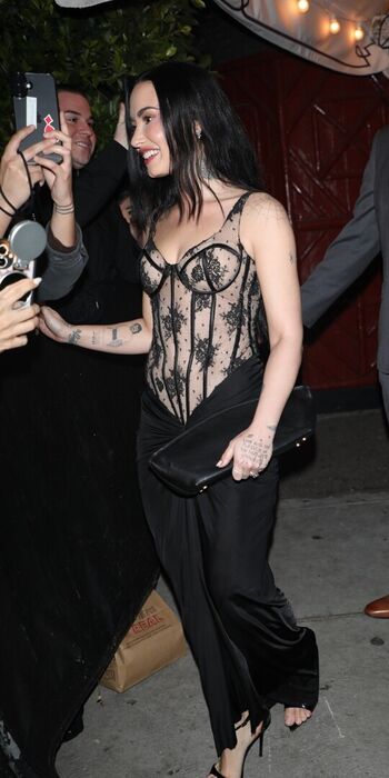 Full leaked Demi lovato page private photo