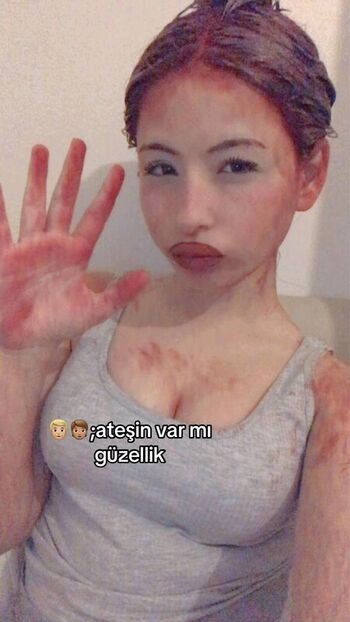 DilanurApaydn