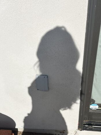 Full leaked Discolita private photo