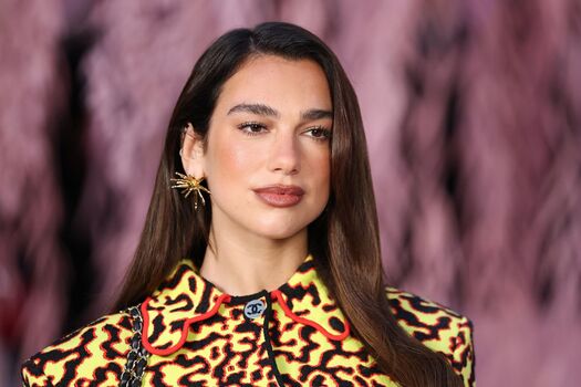 Full leaked Dua lipa  page private photo