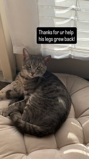 Full leaked Fairywink page private photo