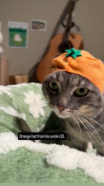 Full leaked Fairywink private photo