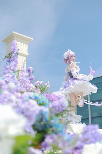g44gallery