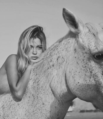 Genlistef