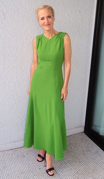 Full leaked Gillian anderson private photo