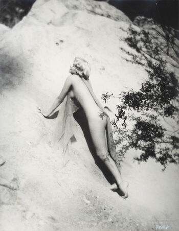 _harlow_