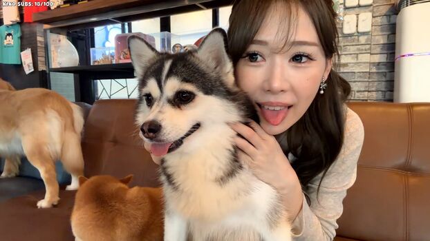 hello_kiko
