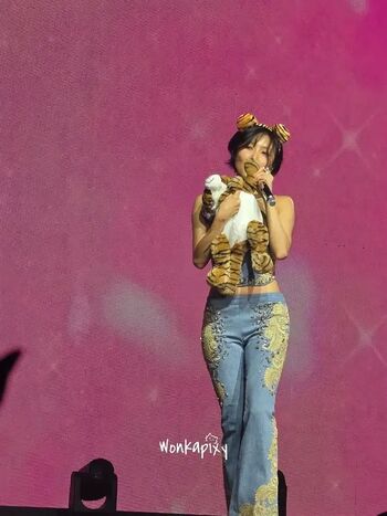 Full leaked Hwasa private photo