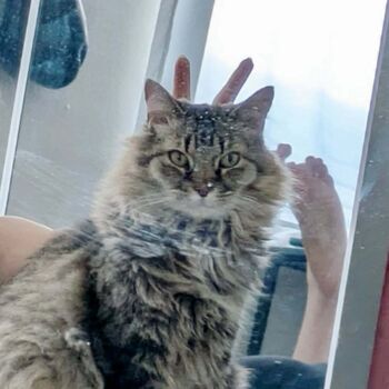 Full leaked Imitationtina private photo