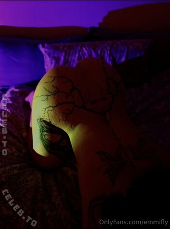 Inkfly