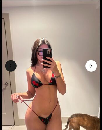 ivyassets