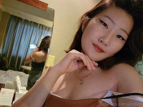 jandvip