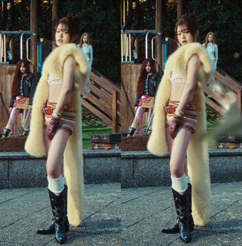 Jang Won-young