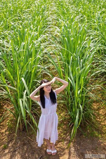 Jav Actress Gravure