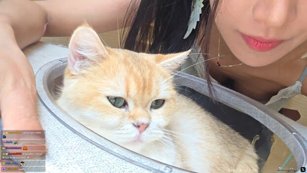 Full leaked Jinnytty page private photo