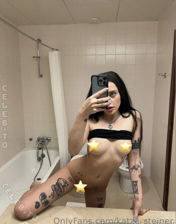Katze_Steiner