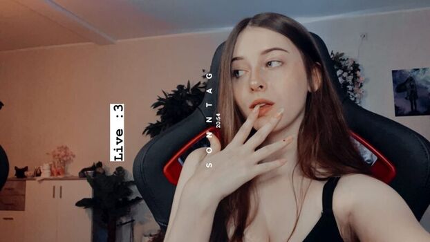 KDRkitten