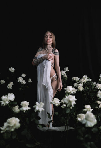 kitbober