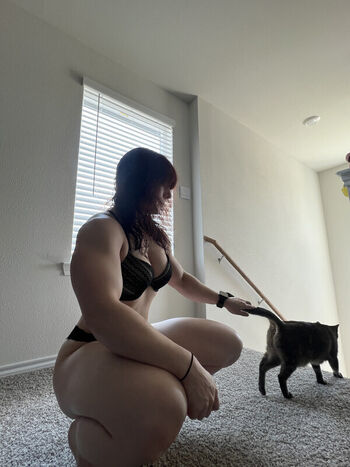 kitty_bit_games