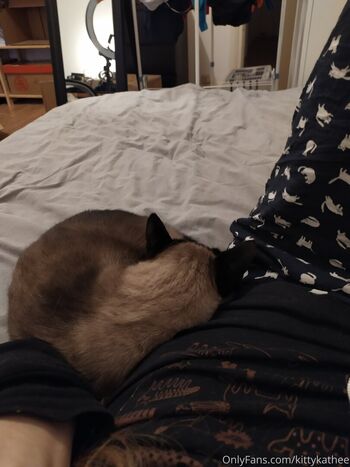 Full leaked Kittykathee private photo