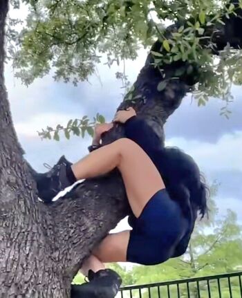 kiwiidal
