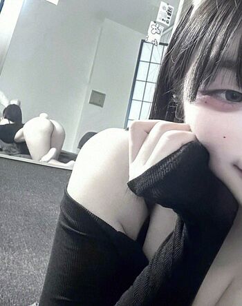 latulip_0