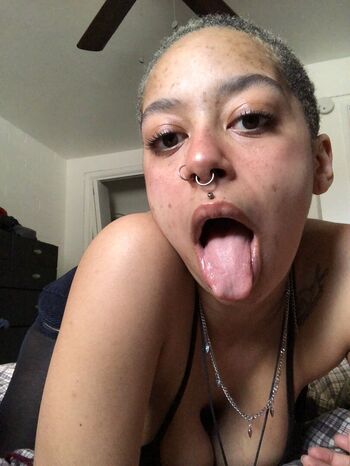 lavender77x