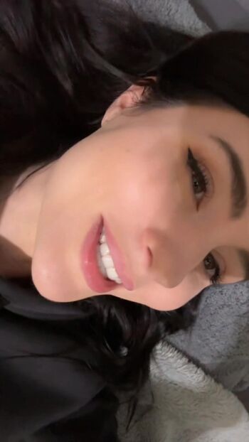 lexwipp