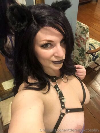 Littleredfox